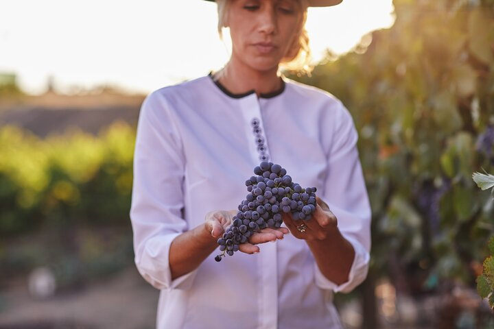 Europa Village Winery Tour including 8 Tastings & 3 Food Pairings - Photo 1 of 4